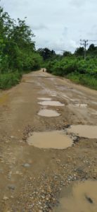 Minim Perhatian Gubernur Sultra Terhadap Jalan Rusak di Daerah Pelosok