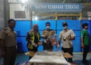 Barantin Gagalkan Pemasukan 98 Kg Daging Babi Tanpa Dokumen ke Sultra