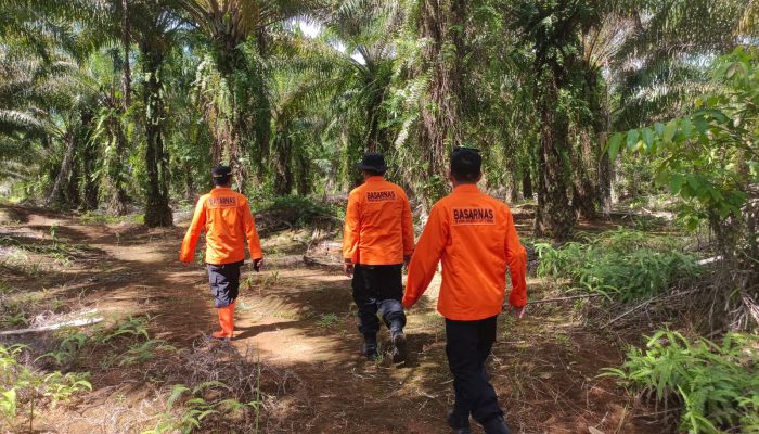 Tim SAR Gabungan Lanjutkan Pencarian Pria Lansia yang Hilang di Perkebunan Sawit Konut