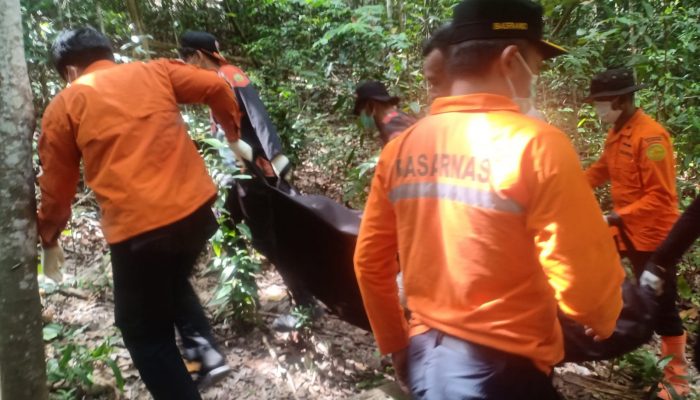 Pria di Konawe Ditemukan Tewas di Atas Pohon