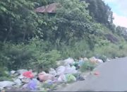 Memahami Konsekuensi Menyedihkan dari Pembuangan Sampah di Kawasan Hutan Wolasi