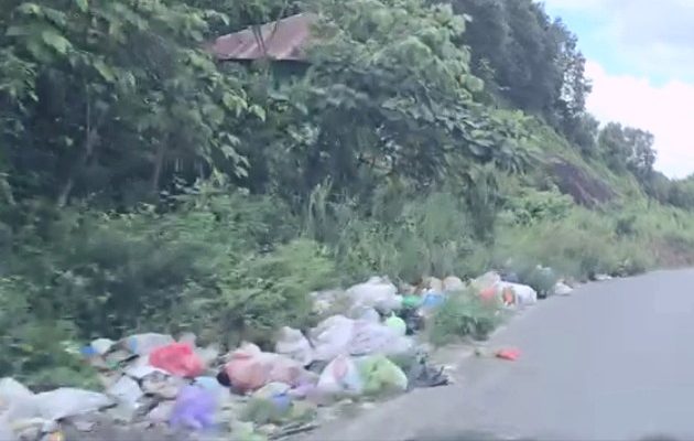 Memahami Konsekuensi Menyedihkan dari Pembuangan Sampah di Kawasan Hutan Wolasi