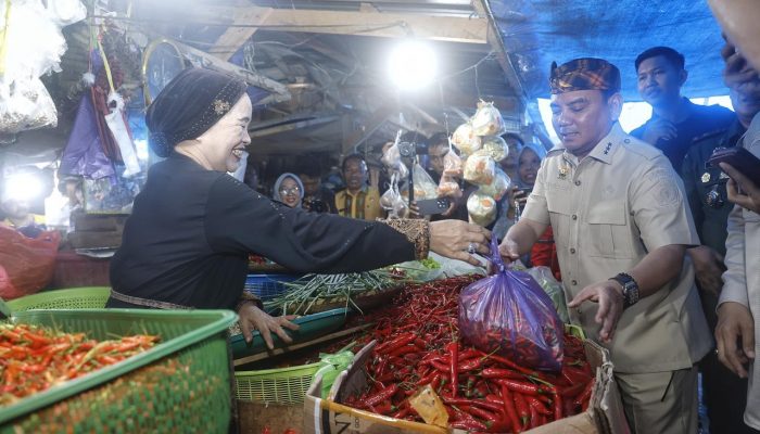 Jelang Ramadan 1446 H, Pj Gubernur Sultra Sidak Ketersediaan dan Harga Bahan Pokok di Pasaran