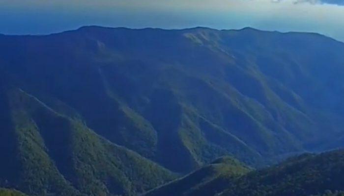 Gunung Sabampolulu, Kabaena: Surga Ekowisata dan “Forest Healing” yang Tersembunyi