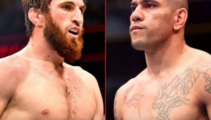 Alex Pereira Kalah dari Magomed Ankalaev di UFC 313: Pertandingan Ulang Sudah di Depan Mata?