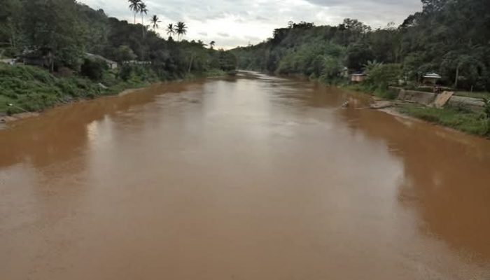 Pencemaran Sungai Pohara: Dampak Sedimentasi Tambang dan Perkebunan Sawit Ancam Pasokan Air Bersih Kendari