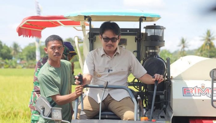 Harapan Membentang di Bumi Wonua Morome: Tekad Kolaka Timur Jadi Lumbung Pangan Sulawesi Tenggara