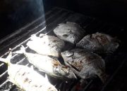 Aroma Menggoda dari Dapur Anda: Resep Rahasia Bumbu Oles Ikan Bakar yang Bikin Nagih