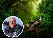 Kisah Inspiratif Johan Eliasch: Miliarder yang Menyelamatkan Hutan Hujan Amazon, Bukan Menebangnya! 14 20250527 164858