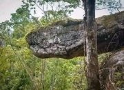 Goa Nako: Ketika Alam Memahat Keajaiban Ular Batu di Jantung Thailand