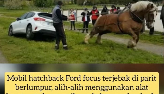 Ketika Satu Tenaga Kuda Mengalahkan Teknologi Modern