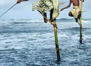 Wow !! Cara Unik Memancing Ikan di Srilanka