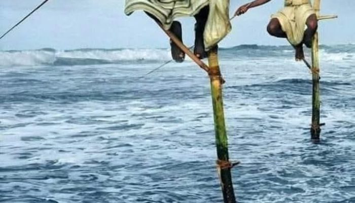 Wow !! Cara Unik Memancing Ikan di Srilanka