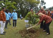 Pemkot Baubau Berencana Bangun Kebun Raya di Samparona