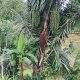 FB IMG 1748069988958
