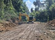 Akses ke Desa Tongauna Ueesi, Semula jadi Kubangan sekarang Mulus Dilalui