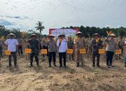 Panen Raya Jagung Serentak Digelar di Konsel, Sultra Siap Jadi Lumbung Pangan Nasional