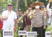 Polresta dan Pemkot Kendari Panen Raya Jagung Serentak Kuartal II 2025