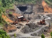 Respon Pernyataan Menteri LH Soal PT Gag Nikel, Greenpress : Pemerintah Tak Boleh Jadi Juru Bicara Korporasi