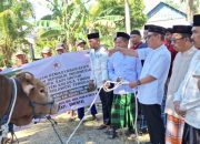 Sapi 925 Kg Bantuan Presiden Diserahkan Wakil Bupati Koltim ke Warga Penanggo Jaya