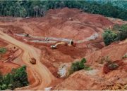 Kemenangan Rakyat Wawonii:  IPPKH PT GKP Dicabut , Selamatkan Pulau Kecil dari Tambang Nikel!