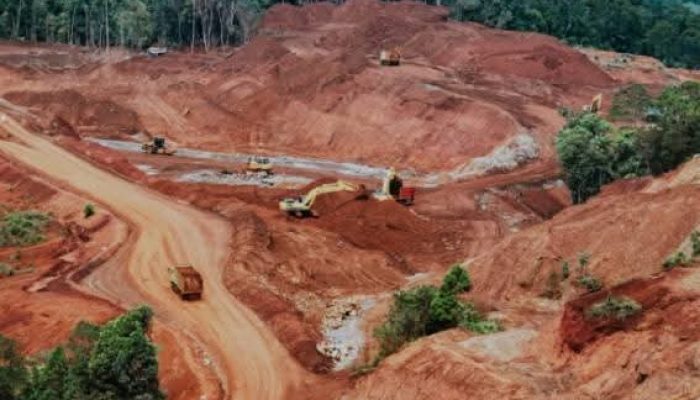 Kemenangan Rakyat Wawonii:  IPPKH PT GKP Dicabut , Selamatkan Pulau Kecil dari Tambang Nikel!