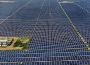 Bhadla Solar Park: Mengubah Gurun Menjadi Sumber Harapan Energi