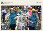 Gerakan Tanam Cabai di Desa Tumbudadio, Upaya Tingkatkan Ketahanan Pangan dan Kendalikan Inflasi