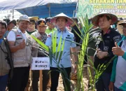Bupati Konut Ikbar Pimpin Gerakan Tanam Serentak Padi Gogo, Sawit, dan Nilam Untuk Ketahanan Pangan di Motui