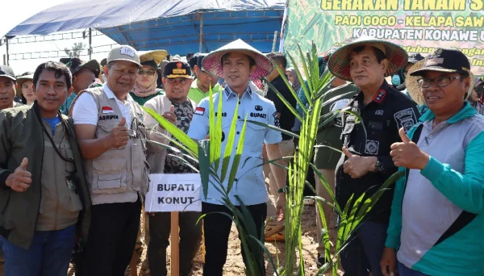 Bupati Konut Ikbar Pimpin Gerakan Tanam Serentak Padi Gogo, Sawit, dan Nilam Untuk Ketahanan Pangan di Motui