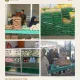 FB IMG 1753880369390