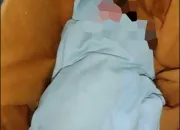 Warga Baruga Kendari Digegerkan Penemuan Bayi Dalam Kardus