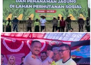 Dukung Ketahanan Pangan, Kapolda Sultra Bersama Forkopimda Laksanakan Penanaman Jagung Kuartal III di Konawe