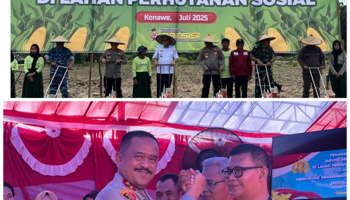 Dukung Ketahanan Pangan, Kapolda Sultra Bersama Forkopimda Laksanakan Penanaman Jagung Kuartal III di Konawe
