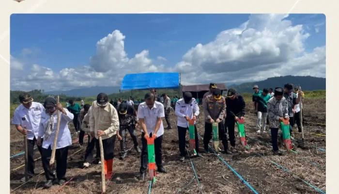 Bersama Polres, Pemkab Koltim Gelar Penanaman Jagung Serentak