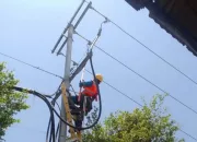 Utang PLN Meningkat Tajam, Laba Menurun: Apa Kabar Raksasa Listrik Nasional?