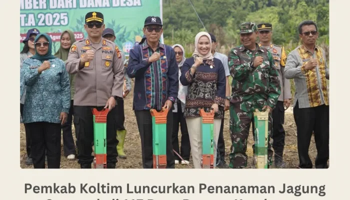 Pemkab Koltim Luncurkan Penanaman Jagung Serentak di 117 Desa Dorong Ketahanan Pangan Lewat Dana Desa TA 2025