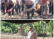 Dukung Ketahanan Pangan, Polresta Kendari Laksanakan Penanaman Jagung