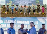 Kolaborasi Polda Sultra, Pemda Konut dan PT AKP Tbk Tanam Jagung Demi Dukung Swasembada Pangan