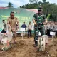 IMG 20250826 WA0009
