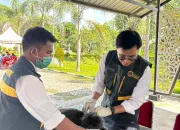 Peduli Kesehatan Hewan dan Manusia, Karantina Sultra Rayakan Hari Karantina dengan Bakti Sosial