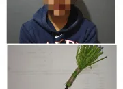 Tiga Bulan Buron Remaja Pelaku Pembusuran di Sanua Akhirnya Ditangkap Polisi