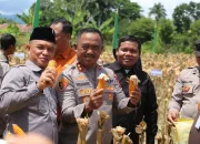 Polda Sultra dan Pemda Konawe Gelar Panen Raya Jagung: Wujud Sinergi Dukung Asta Cita Presiden