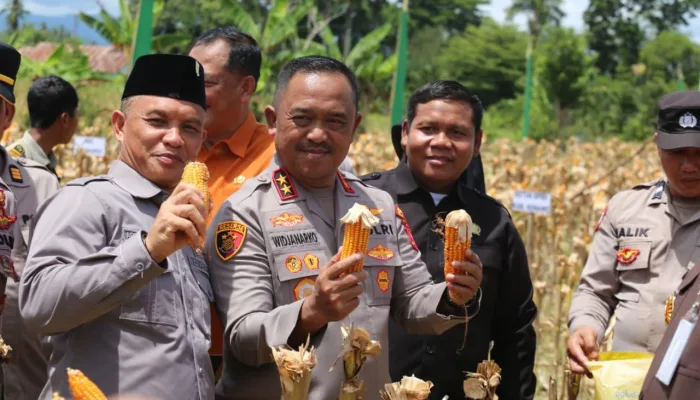Polda Sultra dan Pemda Konawe Gelar Panen Raya Jagung: Wujud Sinergi Dukung Asta Cita Presiden
