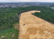 Kadis DLHK Kendari Jelaskan Aturan Terkait Pembukaan Lahan Milik Gubernur Sultra ASR
