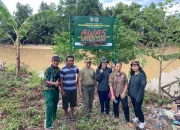 Heboh Kemunculan Buaya di Sungai Wanggu Pasar Baru Wuawua, BKSDA Sultra Pasang Papan Peringatan
