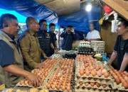Jelang Nataru Satgas Pangan Sultra Sidak Harga Dan Ketersediaan Kebutuhan Pokok