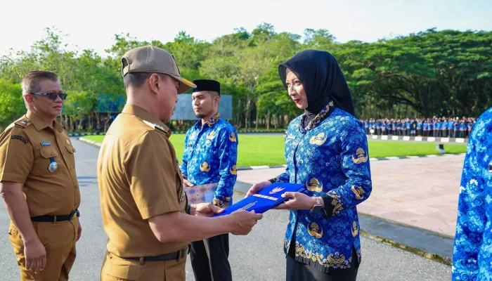 Gubernur Sultra Serahkan SK PPPK Paruh Waktu Formasi 2024