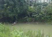 Bocah Laki-laki di Kolono Diterkam Buaya, Tim SAR Lakukan Pencarian
