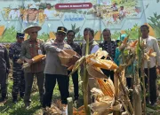Polda Sultra Gelar Panen Raya Jagung Kuartal I Tahun 2026